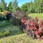 Wycinki *