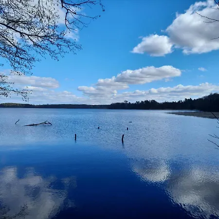 別荘 Wycinki Osiek