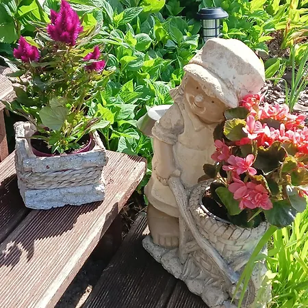 Wycinki Dom wakacyjny