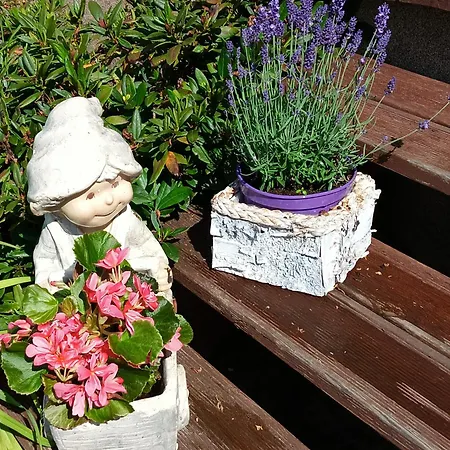 Wycinki Dom wakacyjny Osiek (Pomerania)