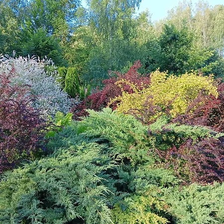 別荘 Wycinki Osiek