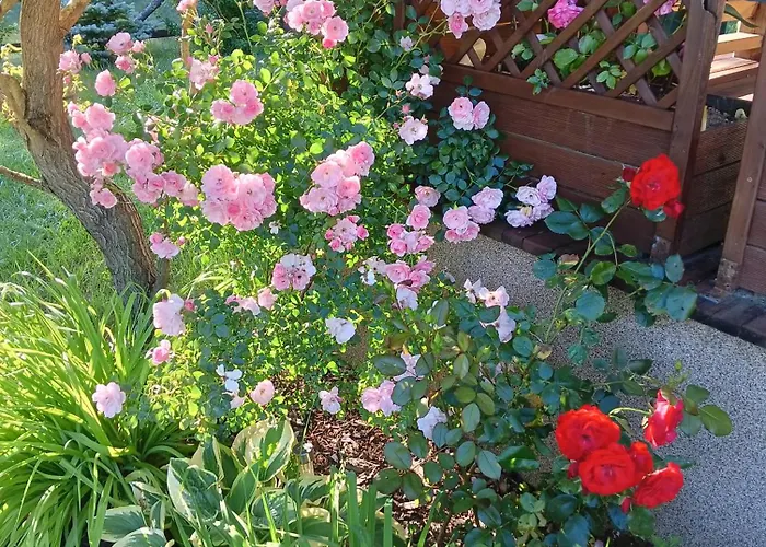 Wycinki Prázdninový dům Osiek (Pomerania)