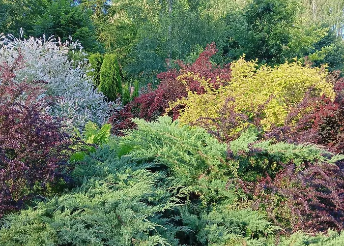 Дом отдыха Wycinki Осек